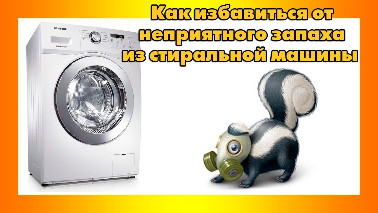 Почему в стиральной машине появляется запах?